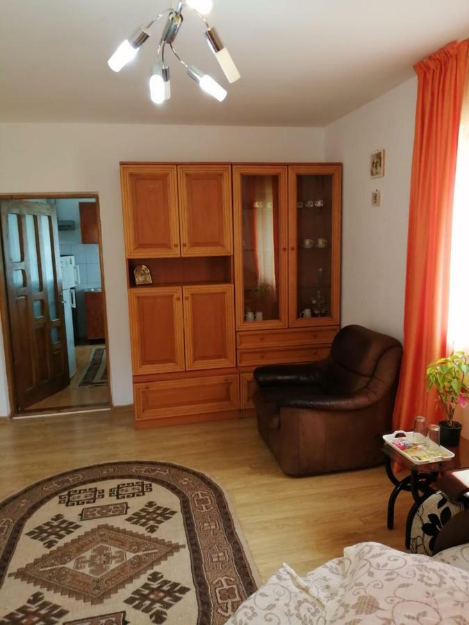 Hotel Pensiunea Bobu Izvoru Muntelui Exterior foto