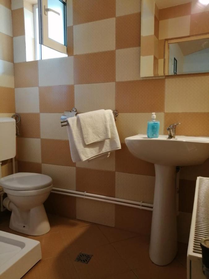 Hotel Pensiunea Bobu Izvoru Muntelui Exterior foto
